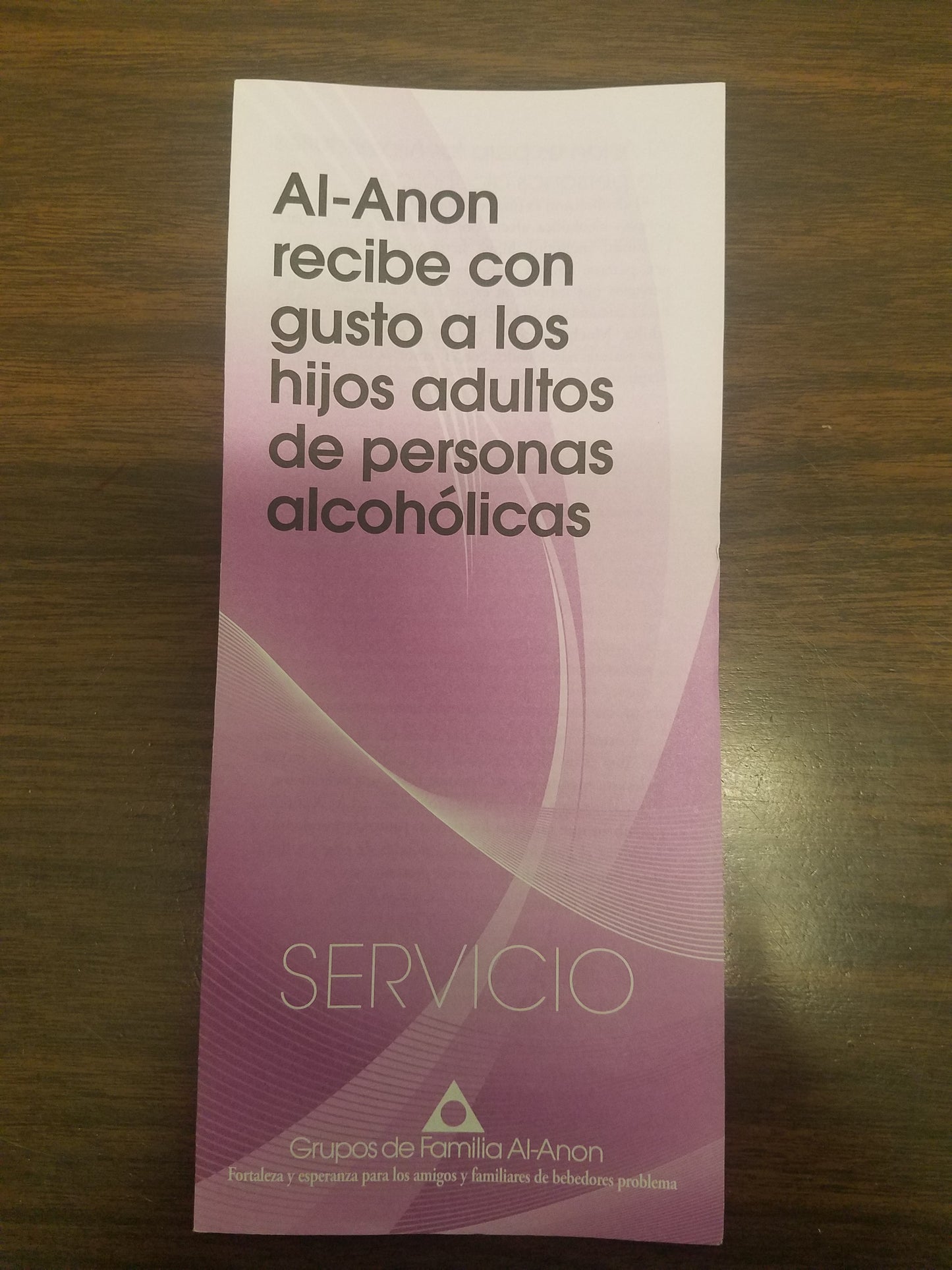 Al-Anon recibe con gusto a los hijos adultos de personas alcoholicas