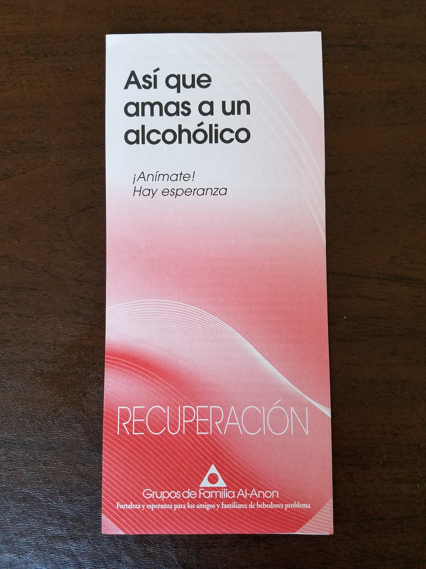 Asi que amas a un alcoholico