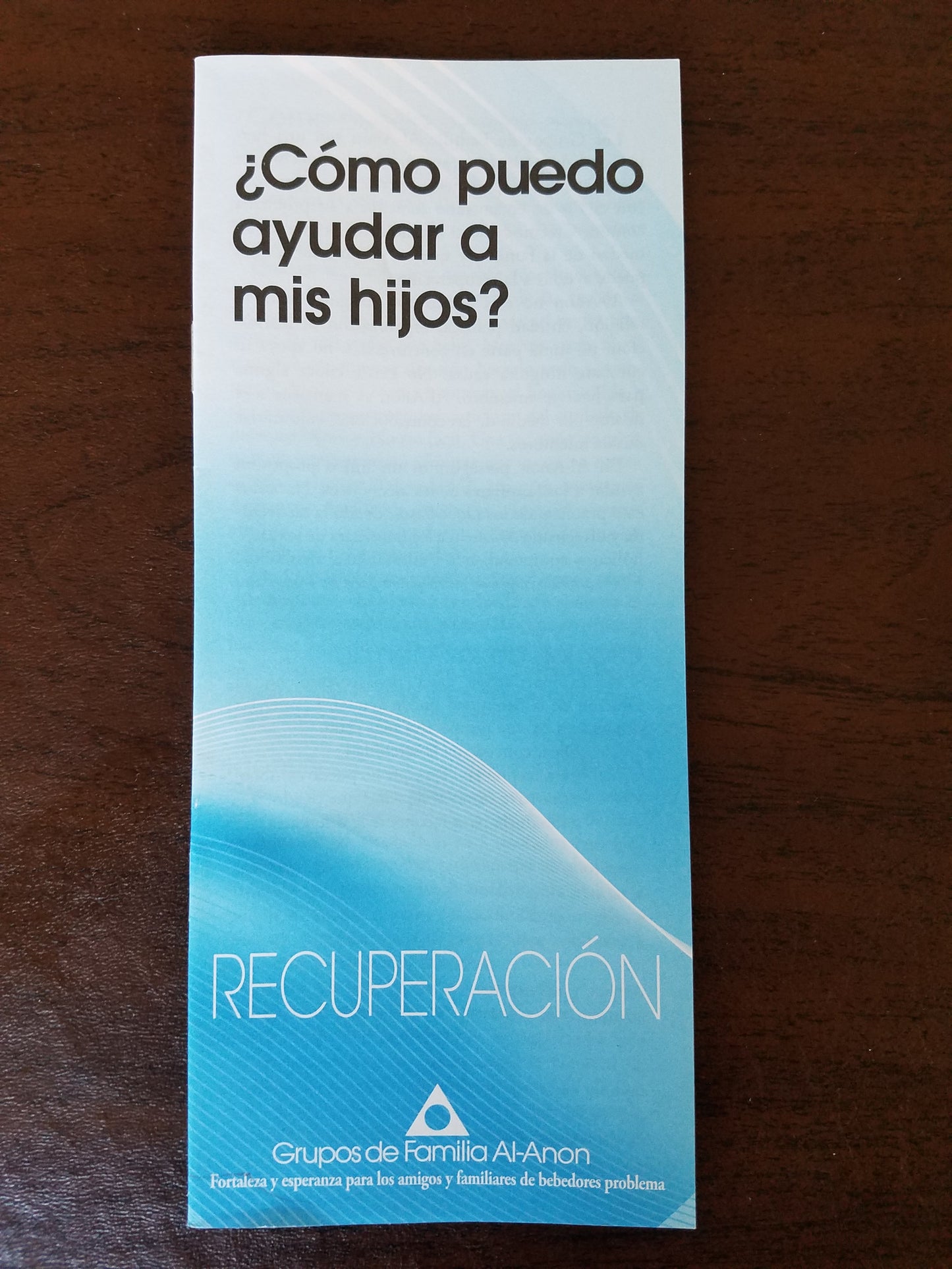 Como puedo ayudar a mis hijos?
