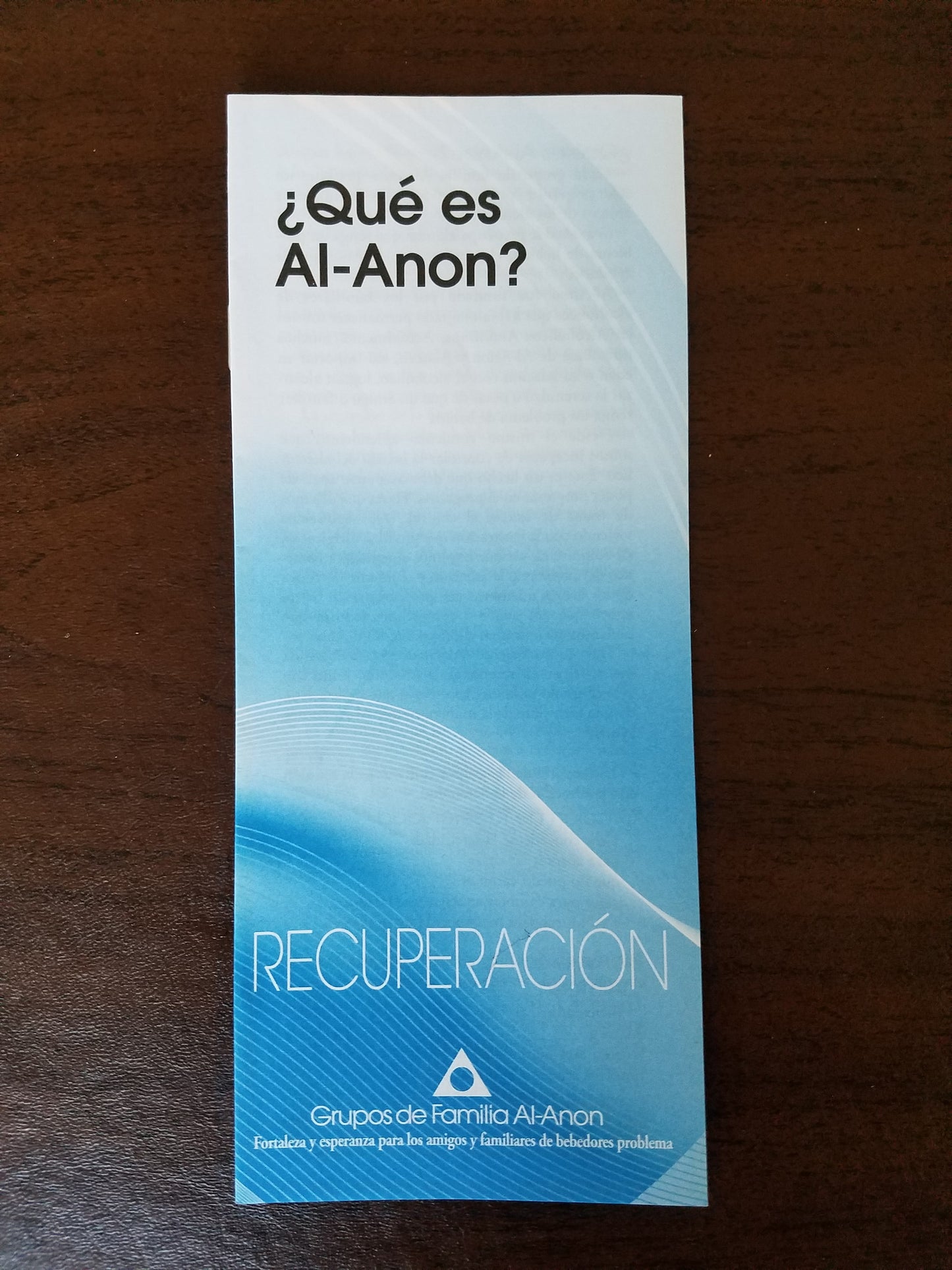 Que es Al-Anon?