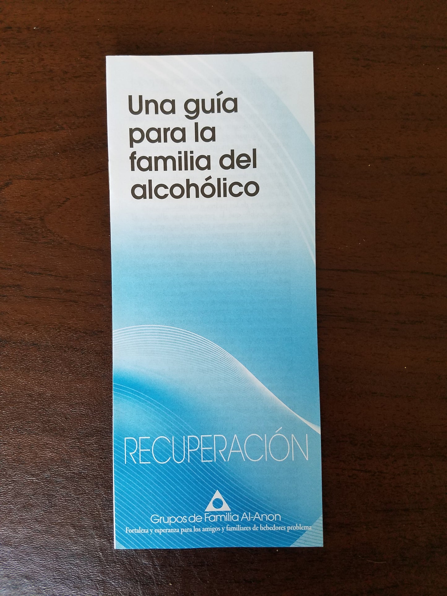 Una guia para la familia del alcoholico