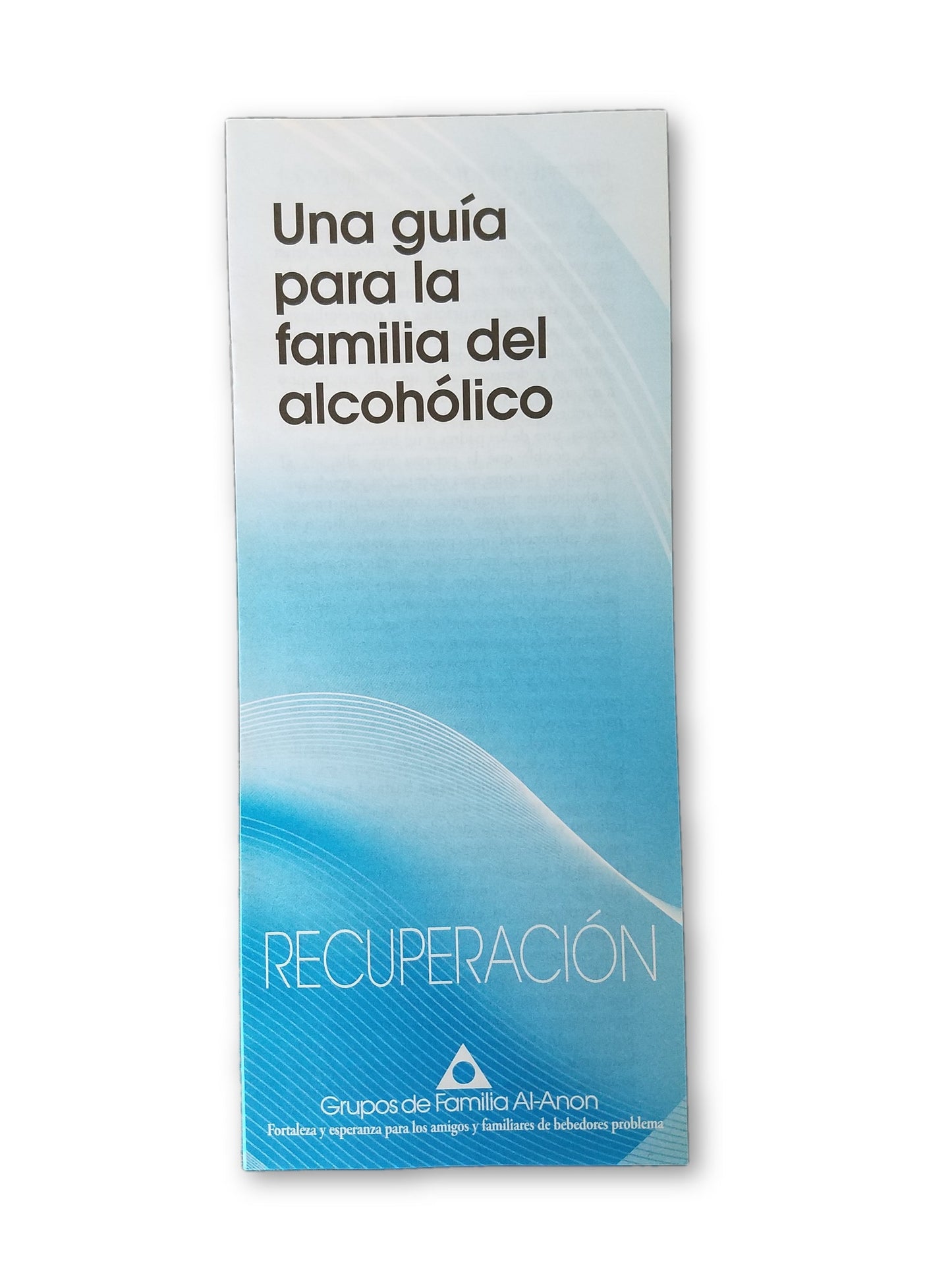 Una guia para la familia del alcoholico